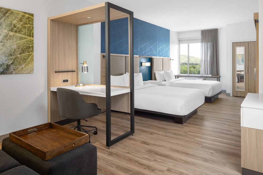 SpringHill Suites by Marriott Roanoke North - photo 10