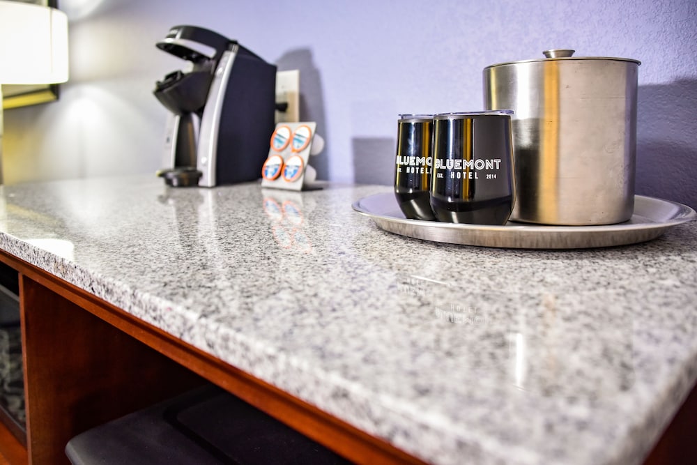 The Bluemont Hotel - photo 20