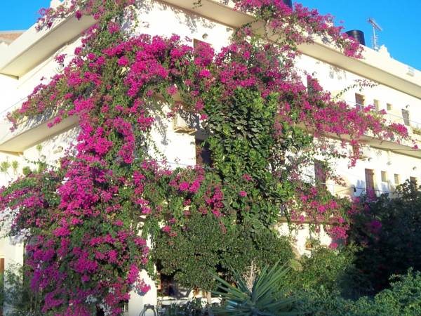 Knossos Hotel — Alimos — photo 3