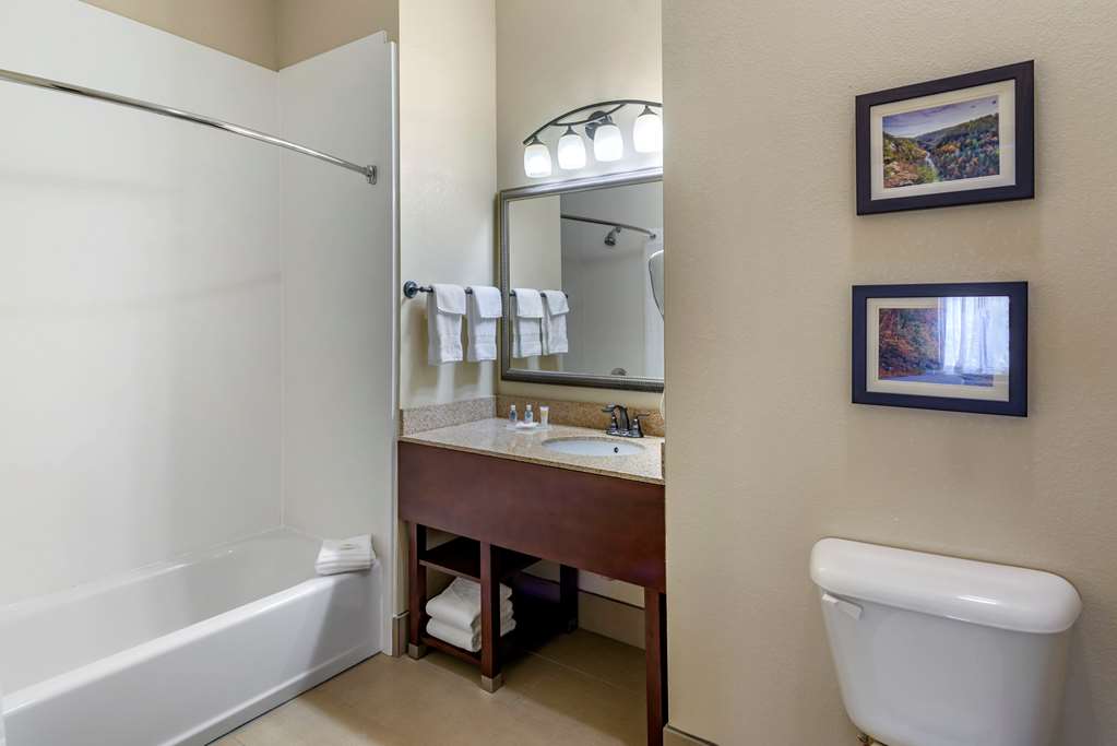 Comfort Inn & Suites Blue Ridge - photo 22