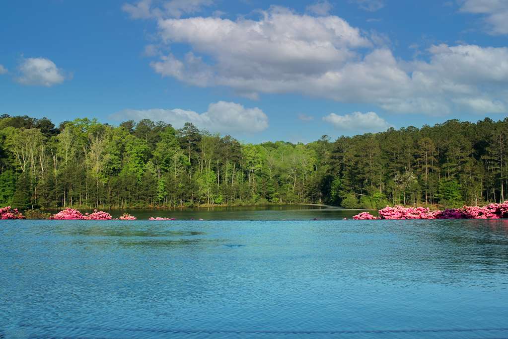 Foxhall Resort - photo 6