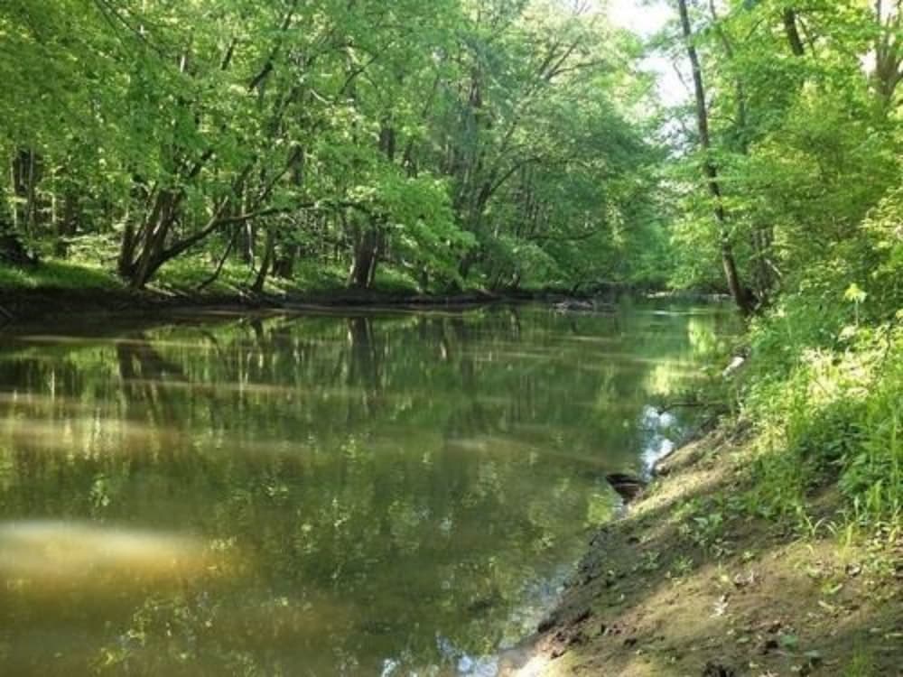 Goldberry Woods - photo 157