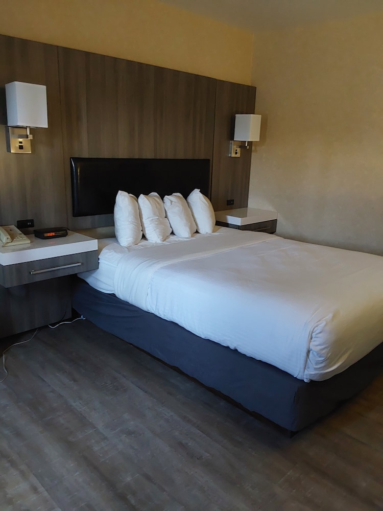 Lavissh Inn & Suites - photo 7