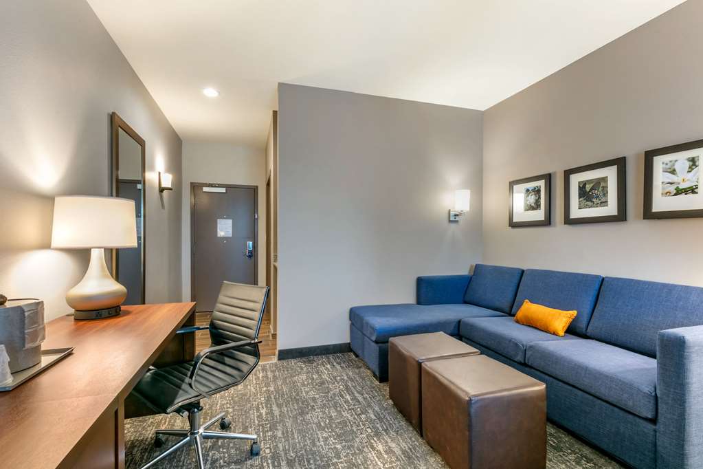 Comfort Suites North Tupelo - photo 8
