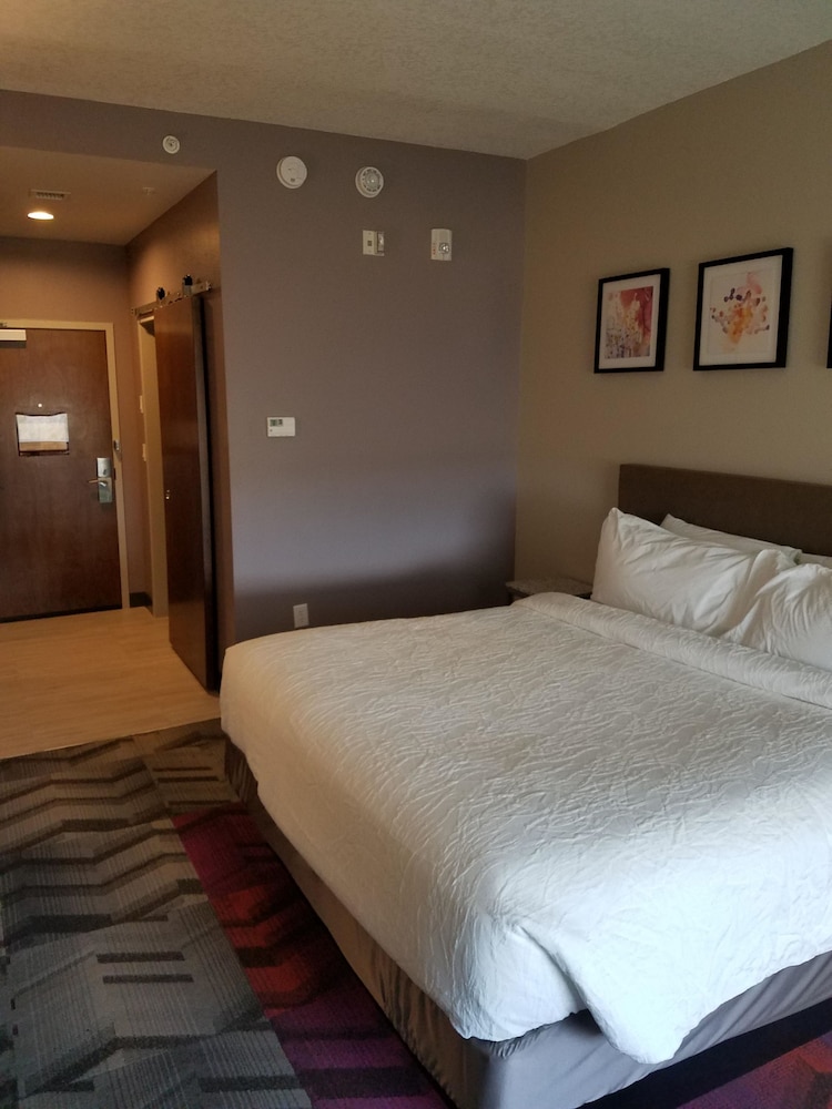 Hilton Garden Inn Tampa Suncoast Parkway - photo 37