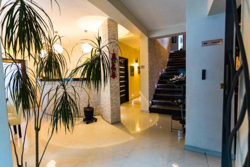 Pensiunea Bradului — 4-Star Luxury Hotel in Sangeorz-Bai, Romania