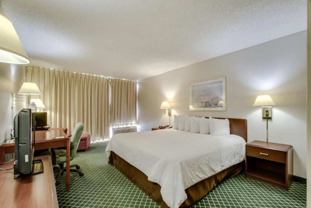 Holiday Inn Dallas Market Ctr Love Field an IHG hotel - photo 8