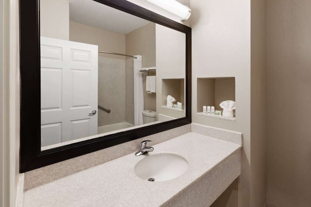 Baymont by Wyndham Houston Brookhollow - photo 32