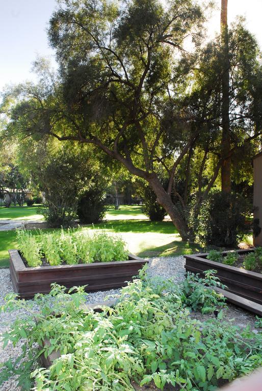SmokeTree Resort and Bungalows - photo 7