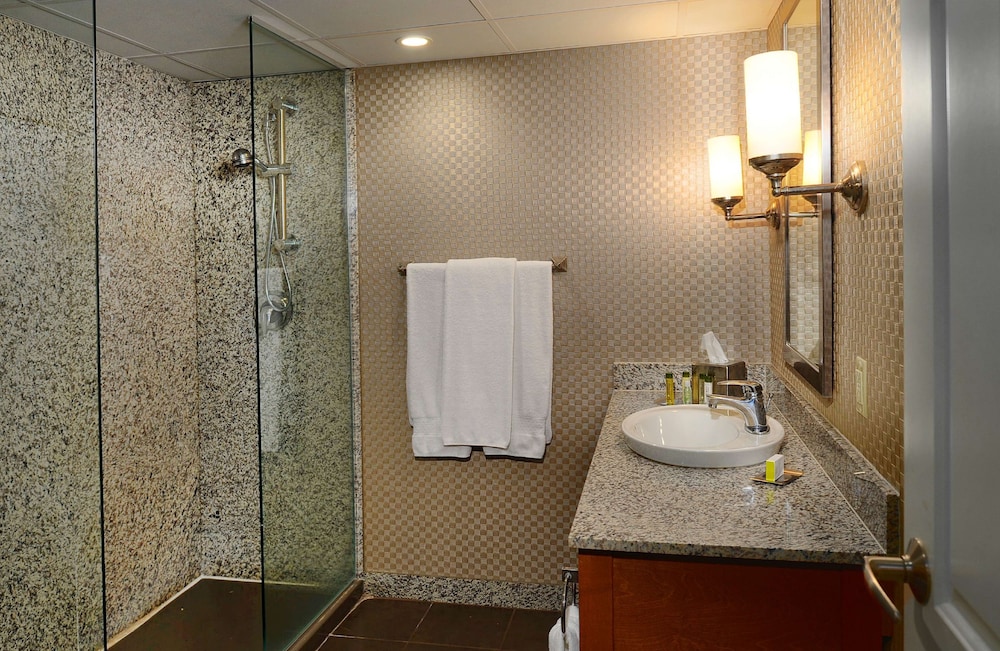 DoubleTree by Hilton St. Louis Westport - photo 37