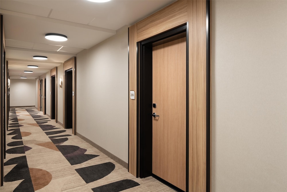 Hilton Garden Inn Greenville University Area - photo 4