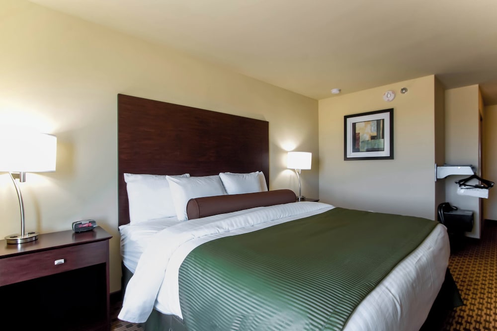 Cobblestone Inn & Suites Eads - photo 18