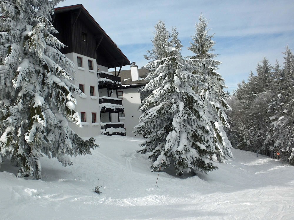 2 Br: Whistlepunk 17 — 4-Star Luxury Hotel in Marlinton, United States