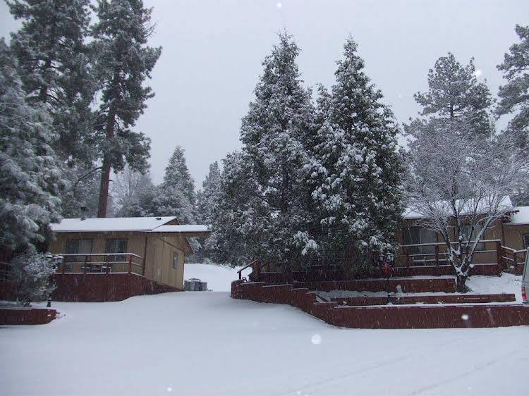 Pine Woods Resort - photo 8