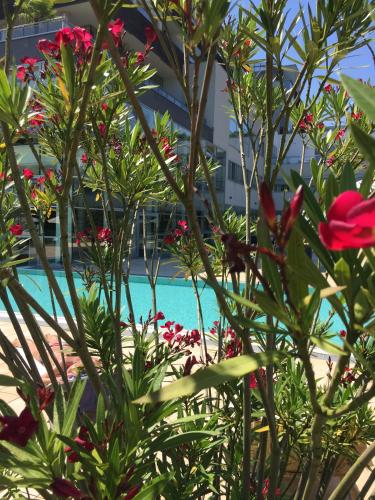 Golf & Wellness Apartment 34. — 4-Star Luxury Hotel in Bad Waltersdorf, Austria