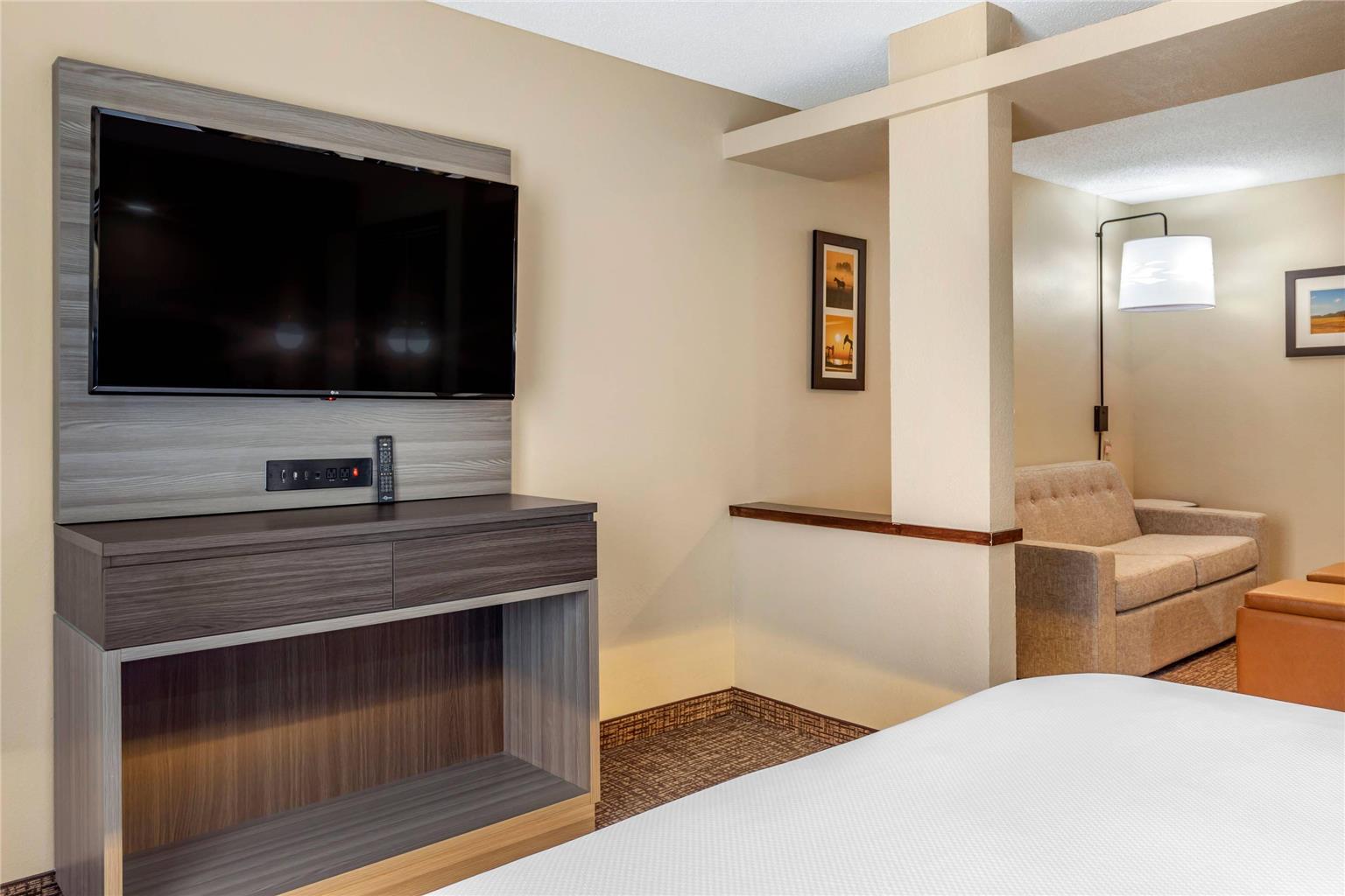 Comfort Inn & Suites North Dallas Addison - photo 26
