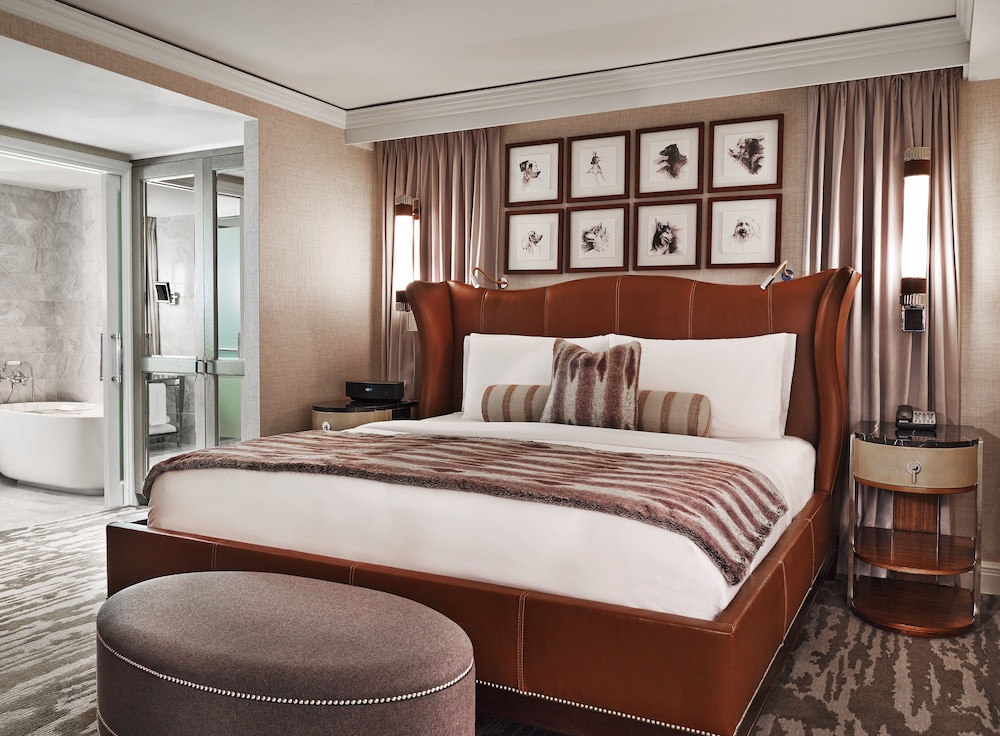 The St. Regis Aspen Resort - photo 16