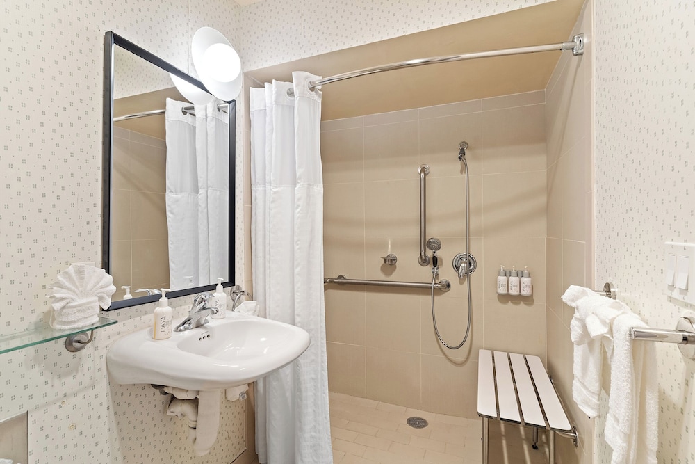 Vagabond Inn Executive San Francisco Airport - photo 31