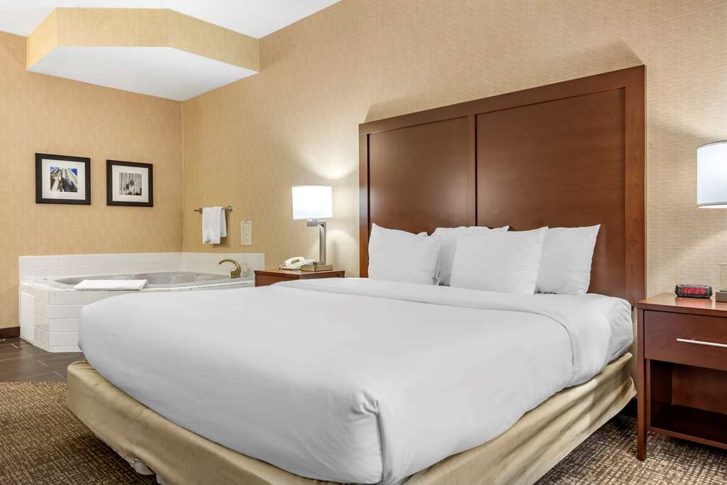 Comfort Inn Meadowlands - photo 18