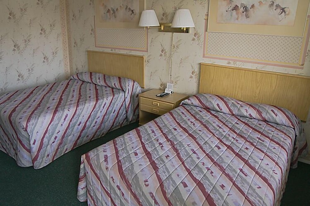 Motel 8 Willcox - photo 3