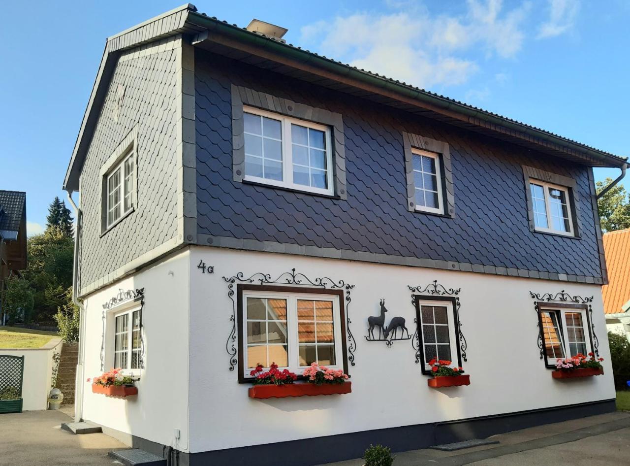 Ferienwohnung Rieger 1 — 4-Star Luxury Hotel in Braunlage, Germany