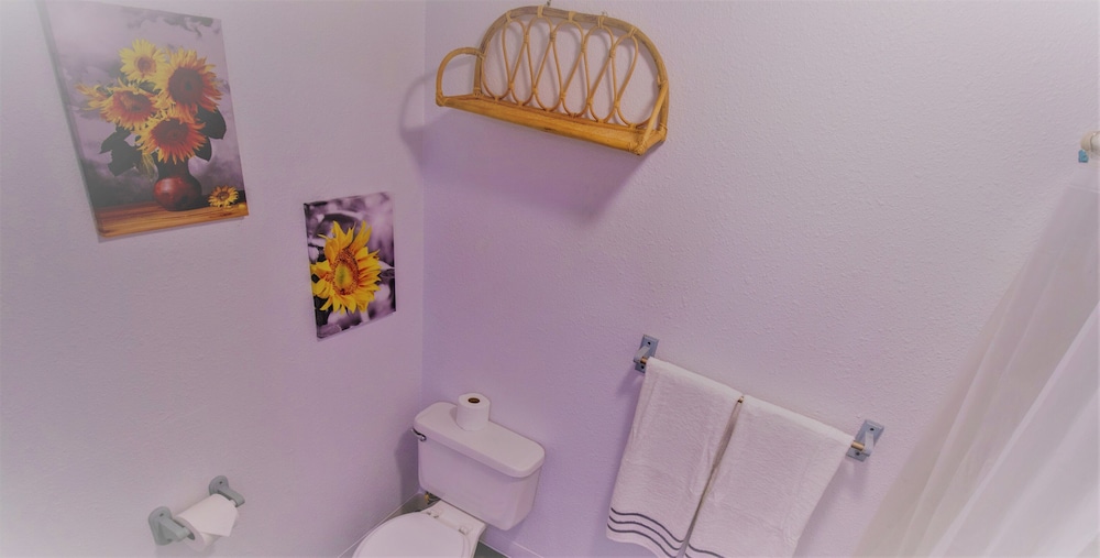 Brownsville Motel - photo 102