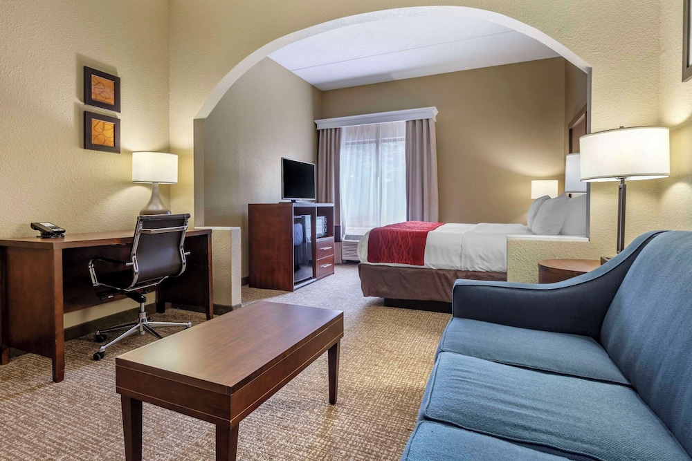 Comfort Inn & Suites Mocksville I 40 - photo 27