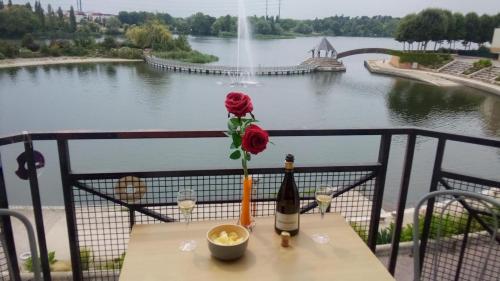 Vue Exceptionnelle Sur Le Lac — hotel in Creteil