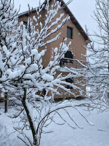 Apartmani Vlaška - last minute hotel in Belgrade