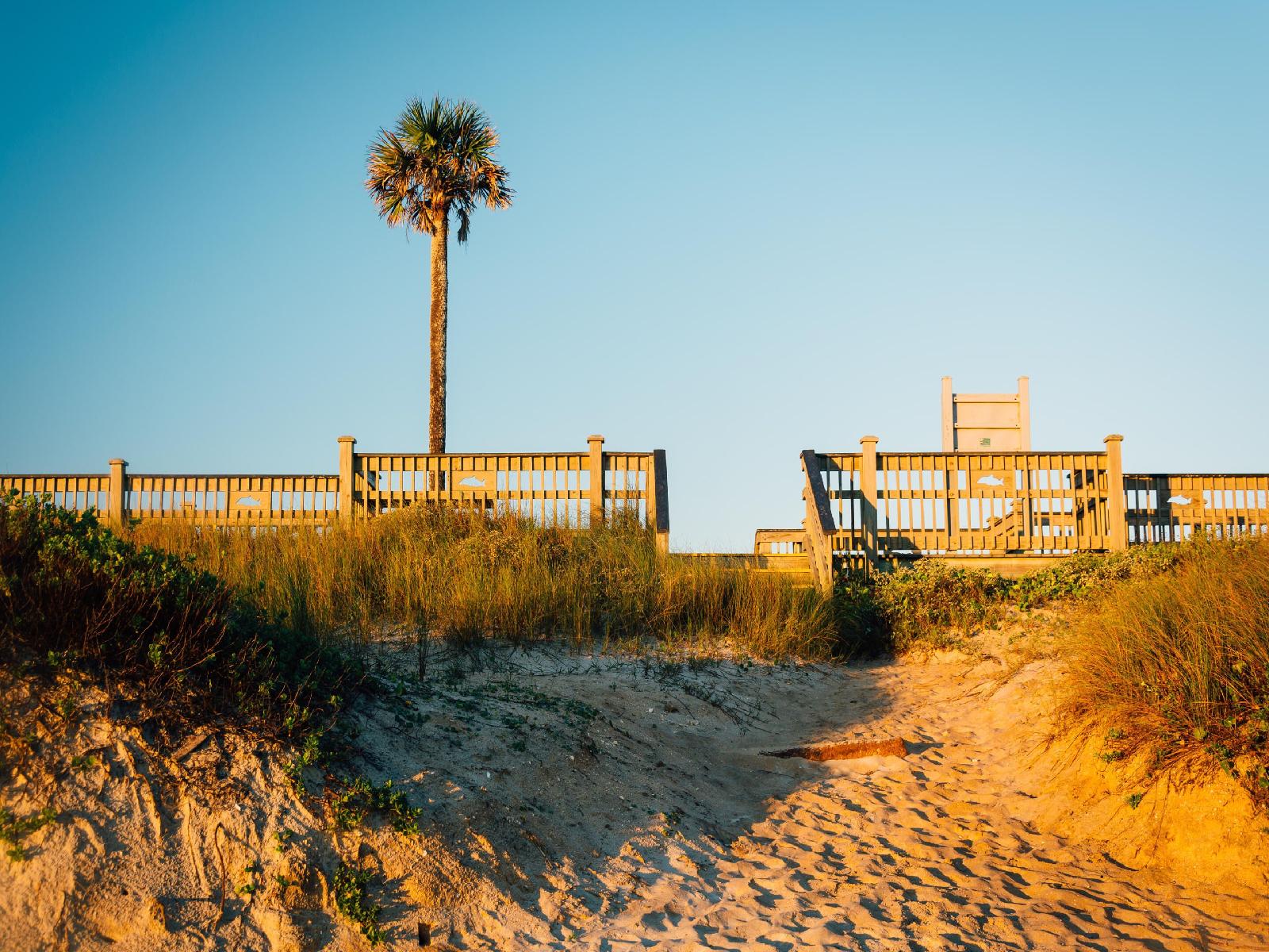 Coquina Dreams - photo 3