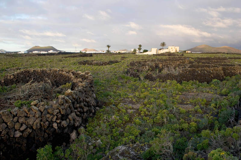 Finca Tomaren — San Bartolome — photo 4