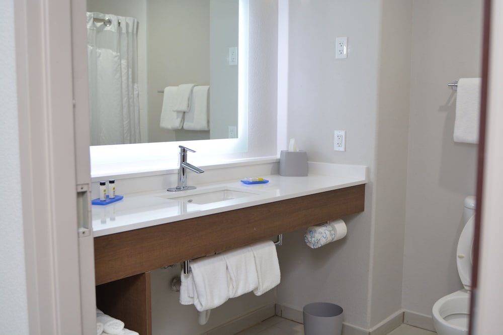 Holiday Inn Express Hotel & Suites Seguin by IHG - photo 24