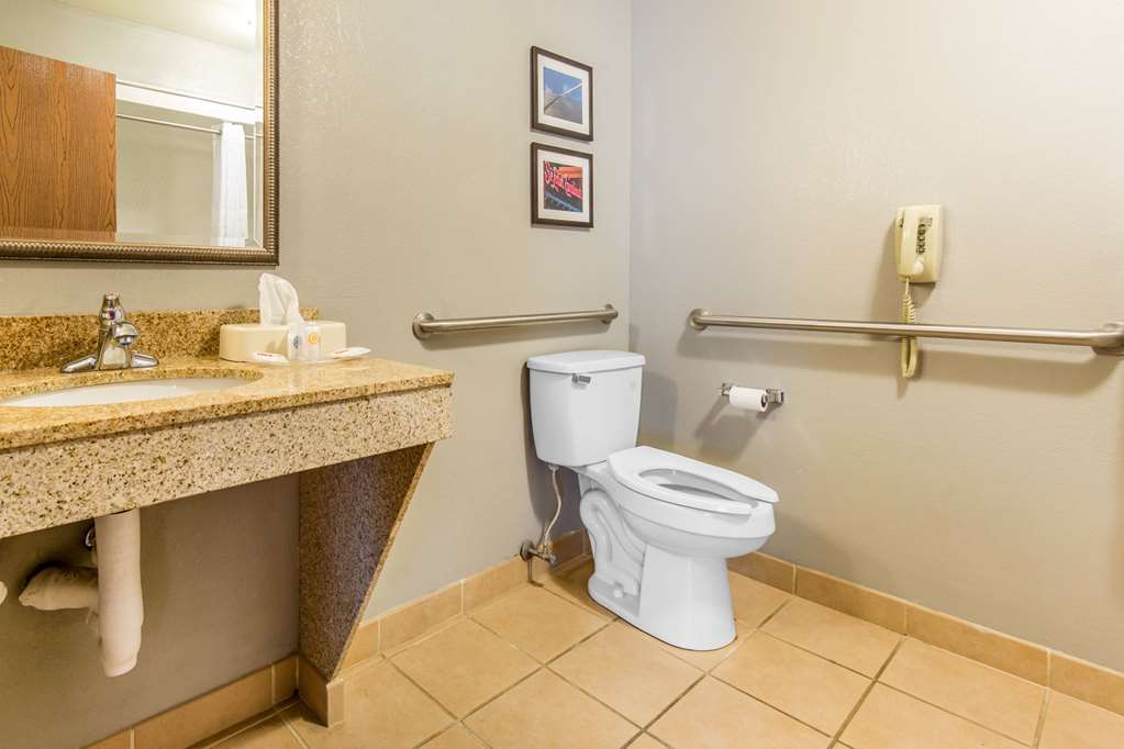 Comfort Suites Fairview Heights St. Louis - photo 22