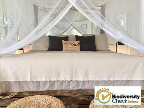 Javo Beach The Nest in Unknown City, Dominican Republic