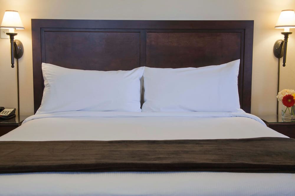 Executive Hotel Vintage Court - photo 13