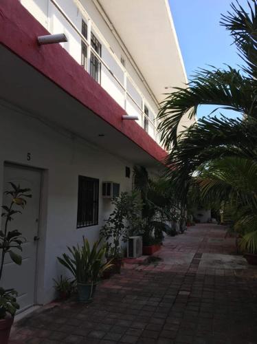 Posada Olmeca - last minute hotel in Playa Del Carmen