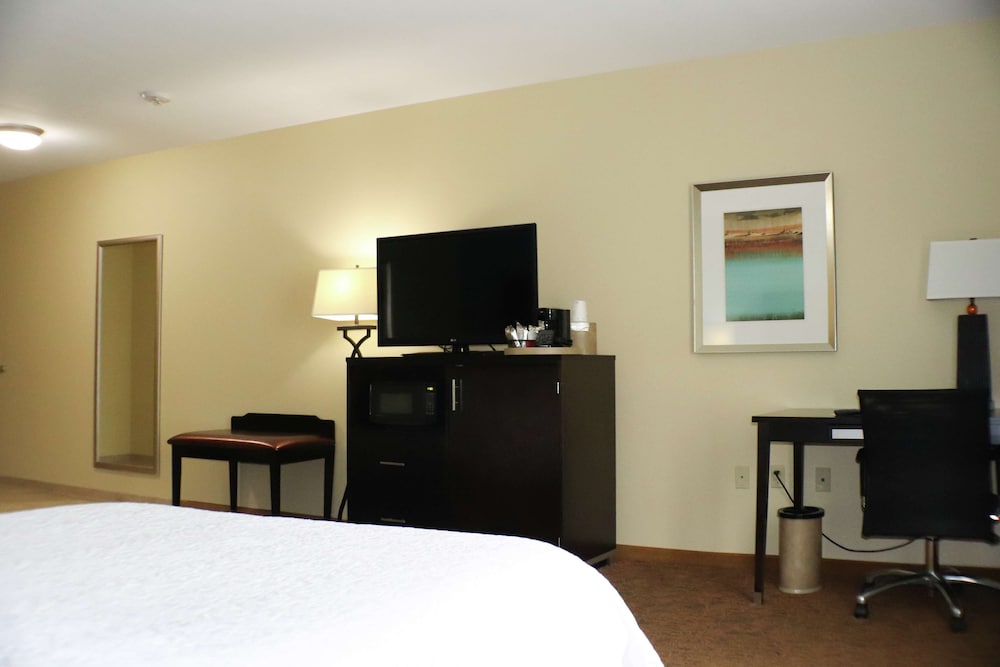 Hampton Inn Austin Oak Hill - photo 20