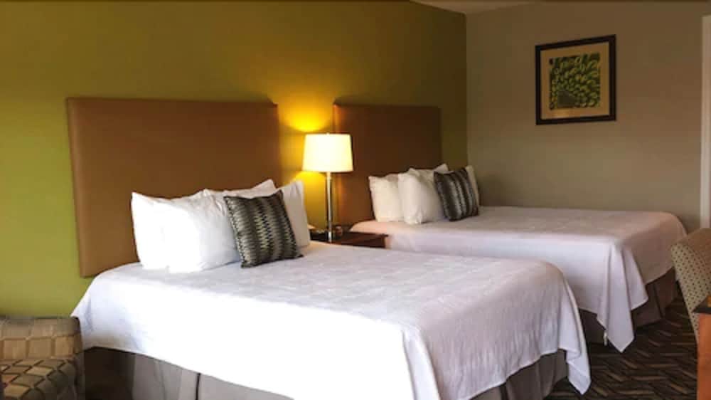 Wingfield Inn - photo 9