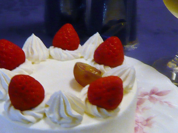 Aqua Garden Ragdoll in Ito, Japan