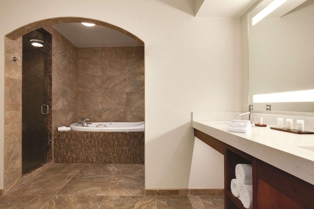 Embassy Suites by Hilton Scottsdale Resort - photo 24