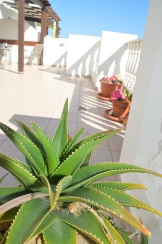 Kapparis Penthouse