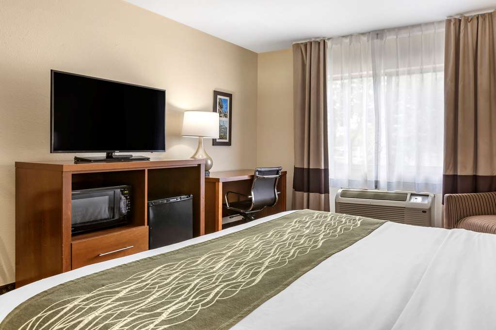 Comfort Inn Okemos East Lansing - photo 11
