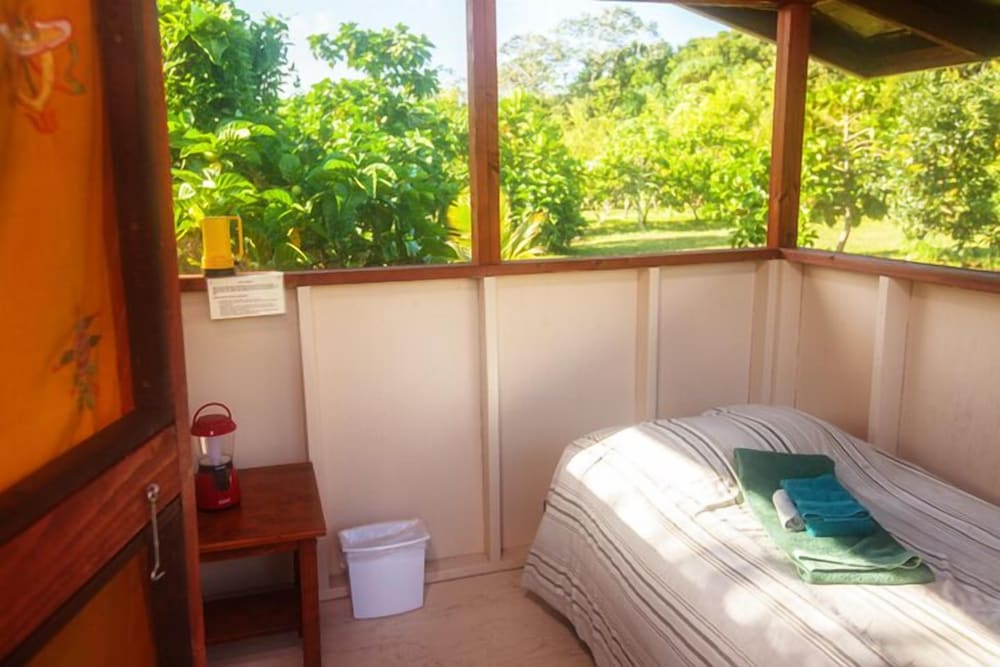 Kirpal Meditation and Ecological Center - photo 28