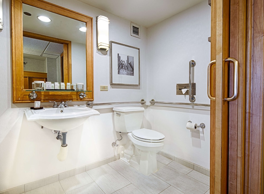 Embassy Suites by Hilton Chicago O'Hare Rosemont - photo 21