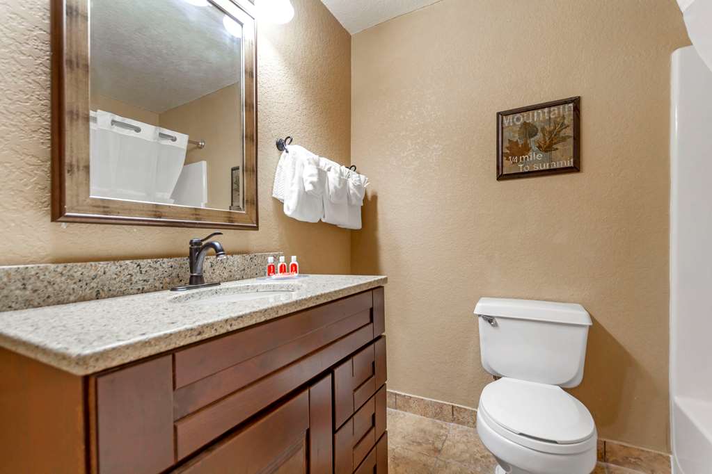 Econo Lodge Black Hills - photo 17