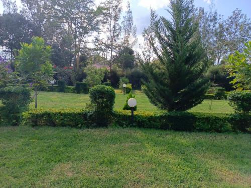 The Kioka gardens 4 bedroom home — 5-Star Luxury Hotel in Nanyuki, Kenya