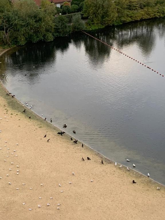 Cosy Laguna Resort Knokke Duinbergen Furnitured Internet studio in Knokke-Heist, Belgium