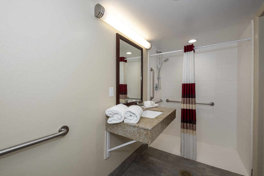 Red Roof Inn PLUS Tuscaloosa University - photo 12