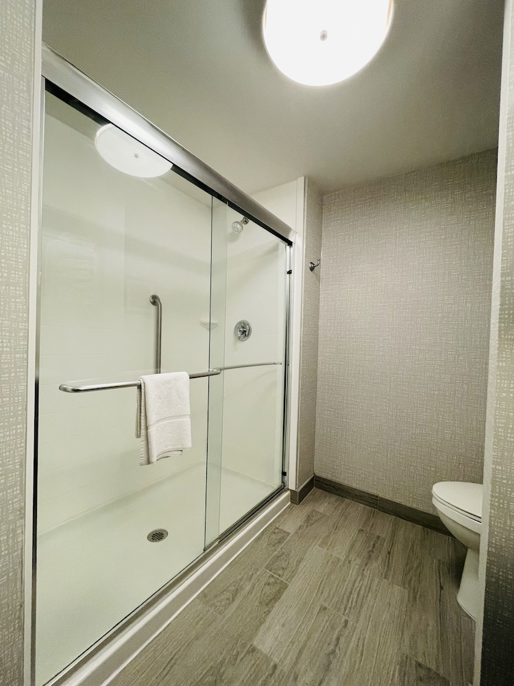 Hampton Inn & Suites Sarasota Bradenton Airport FL - photo 54