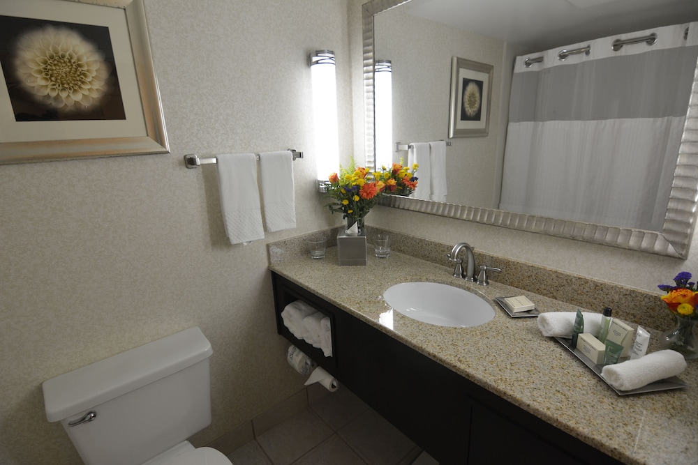 Hilton Palm Beach PBI - photo 64